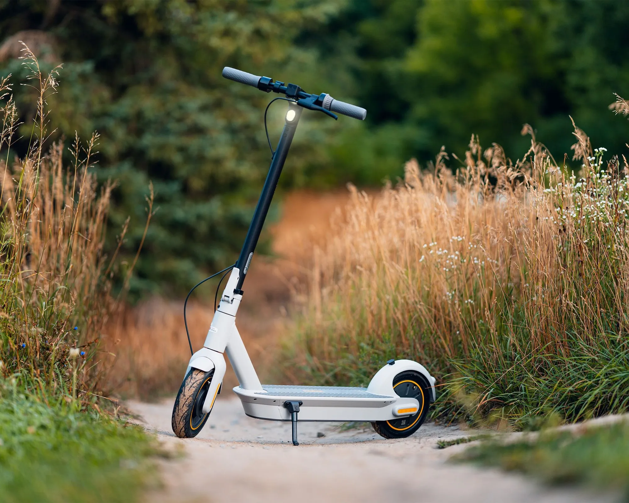 An electric standing scooter parked on a path between grasses.